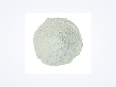 Dehydrated White Onion Powder